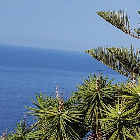 Tenerife S. C. Bed & Breakfast