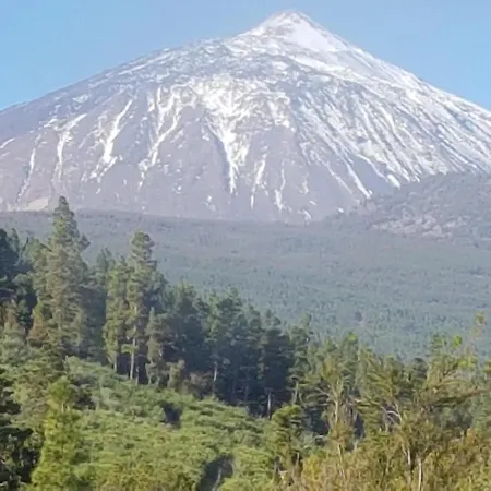 Tenerife S. C. Bed & Breakfast *