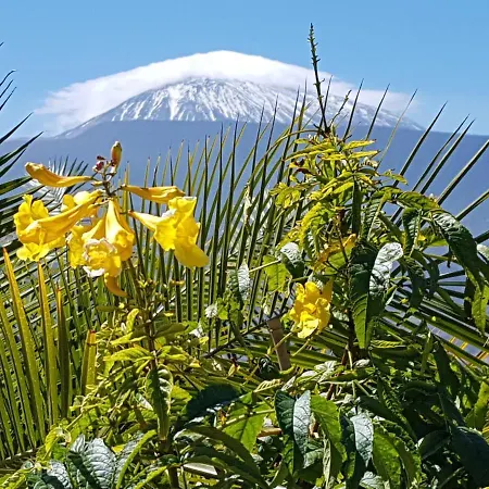 Bed & Breakfast Tenerife S. C. *
